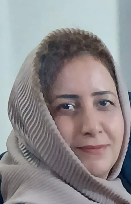 HoshyarGolshan, Web Developer managing The DS Consulting Group digital infrastructure